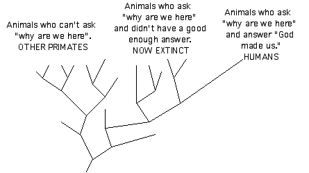 Human tree w/ extinctions